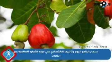 أسعار الكاجو اليوم وتأثيرها الاقتصادي على حركة التجارة العالمية عبر القارات